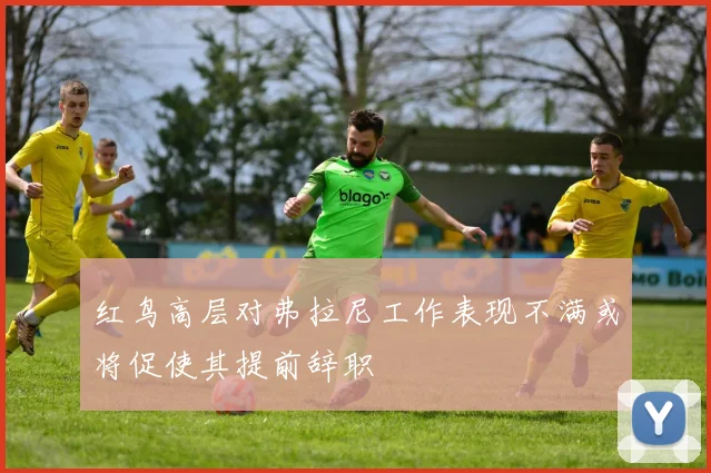 红鸟高层对弗拉尼工作表现不满或将促使其提前辞职